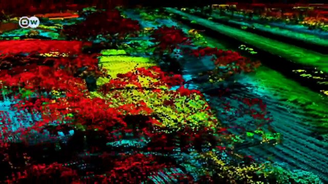 What's growing in the weather kitchen? | Global Ideas