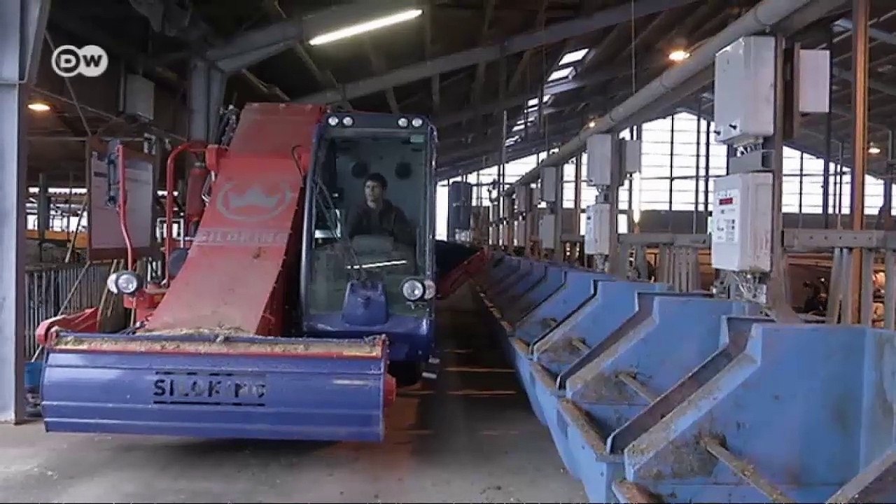 Falling Walls - Turbo-feed for cows | Made in Germany