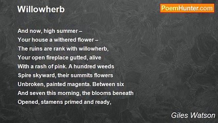 Giles Watson - Willowherb