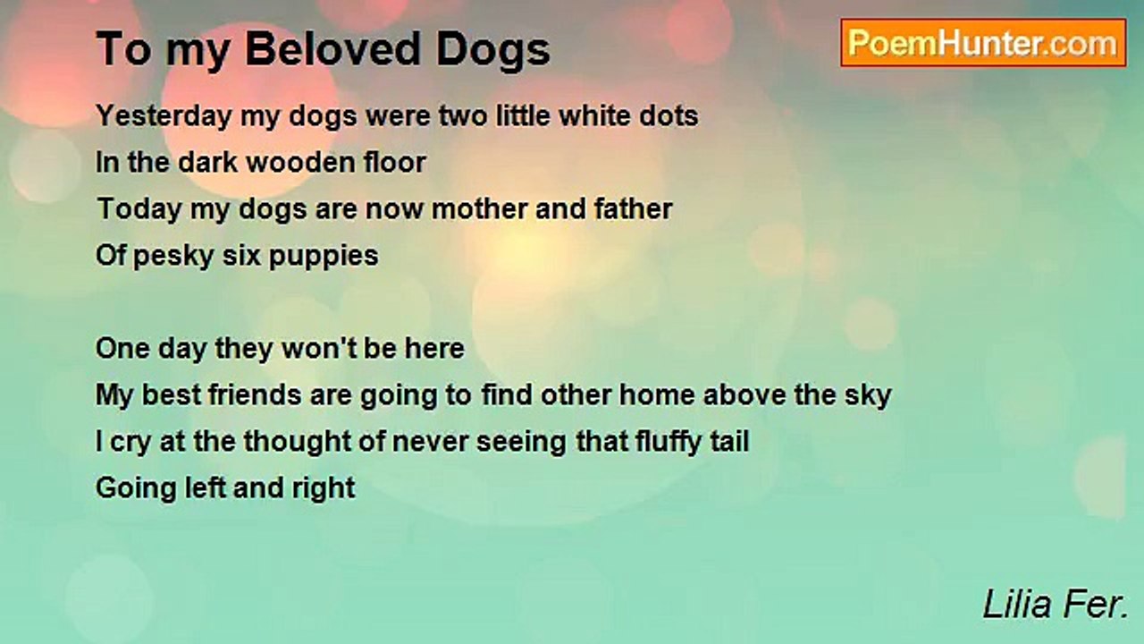 Lilia Fer. - To my Beloved Dogs