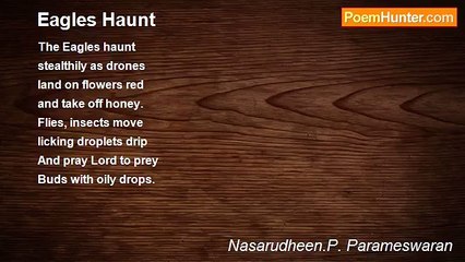 Nasarudheen.P. Parameswaran - Eagles Haunt
