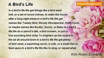 Kim Robin Edwards - A Bird's Life