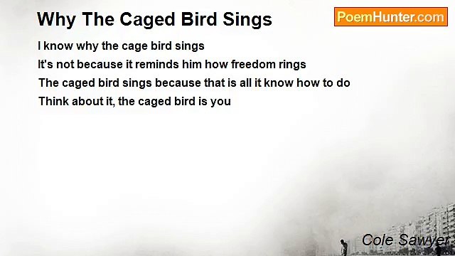 Cole Sawyer - Why The Caged Bird Sings