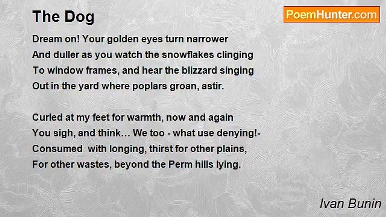 Ivan Bunin - The Dog