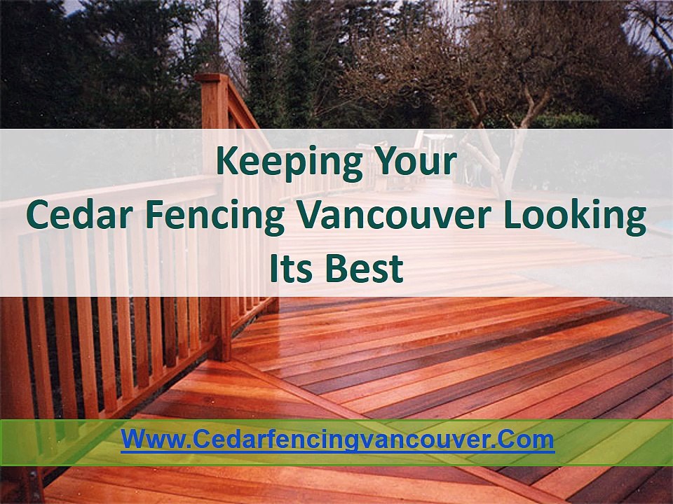 Cedar Fencing Vancouver | Attractive Choice