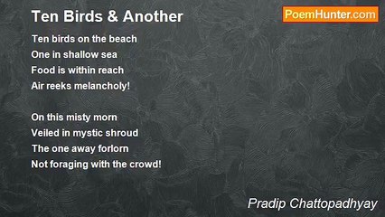 Pradip Chattopadhyay - Ten Birds & Another