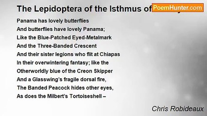 Chris Robideaux - The Lepidoptera of the Isthmus of Beauty