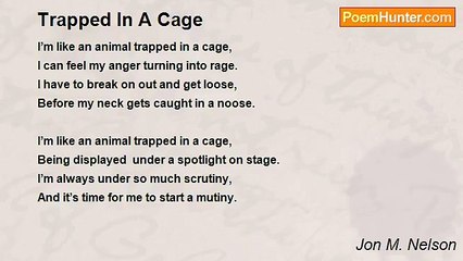 Jon M. Nelson - Trapped In A Cage
