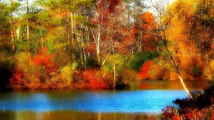 62 - Imágenes de relajación y música de paz total