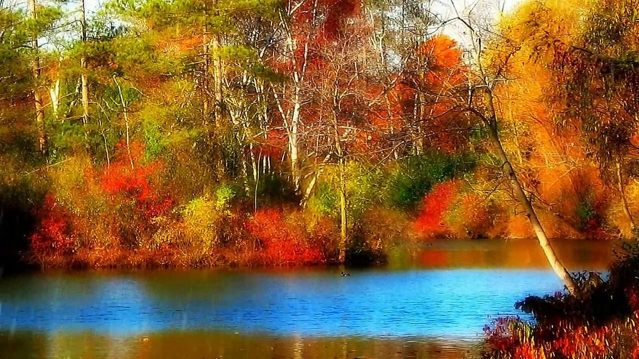 62 - Imágenes de relajación y música de paz total