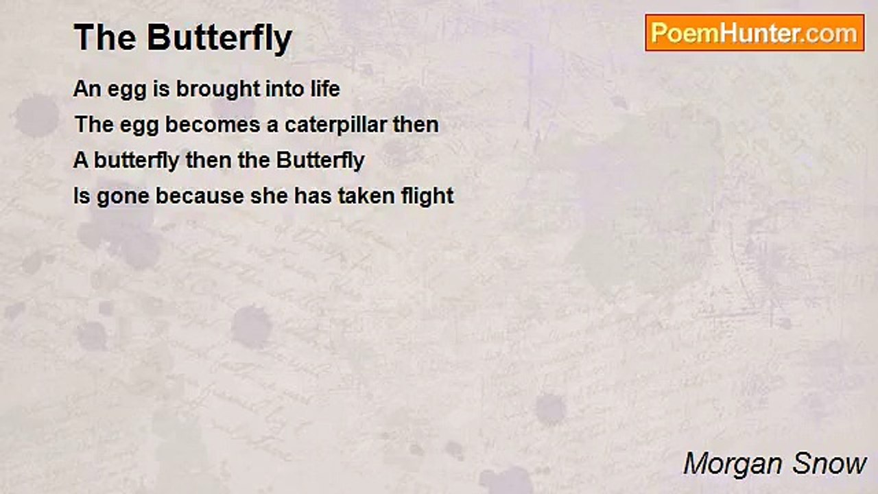 Morgan Snow - The Butterfly