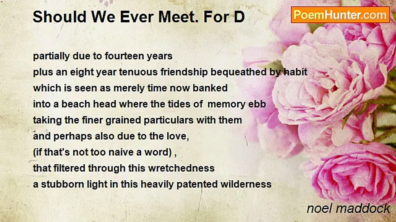 noel maddock - Should We Ever Meet. For D