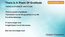 Shalom Freedman - There Is A Poem Of Gratitude