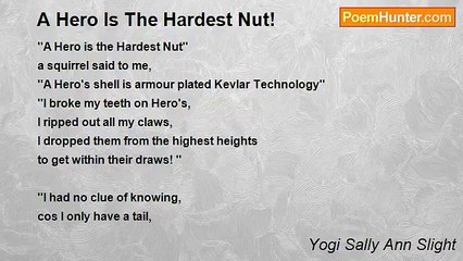 Yogi Sally Ann Slight - A Hero Is The Hardest Nut!