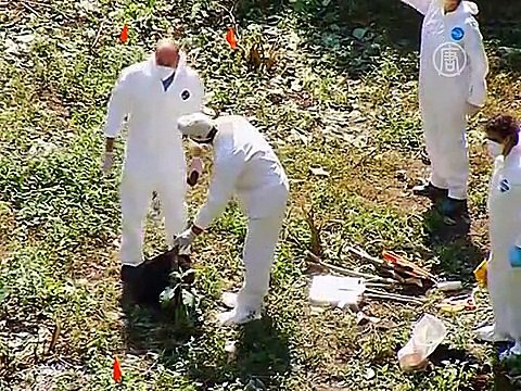 В Мексике опять нашли свежую братскую могилу