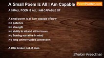 Shalom Freedman - A Small Poem Is All I Am Capable Of