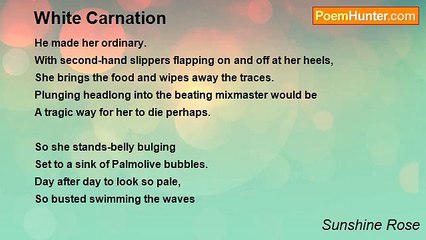 Sunshine Rose - White Carnation