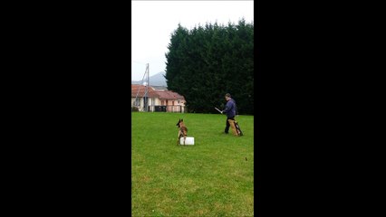 Jet'7 du Banc des Hermelles ( 9 mois ) '' garde d'objet ''