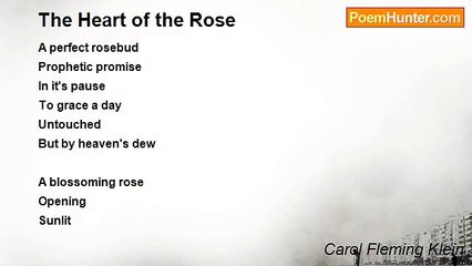Carol Fleming Klein - The Heart of the Rose