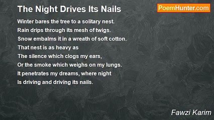 Fawzi Karim - The Night Drives Its Nails