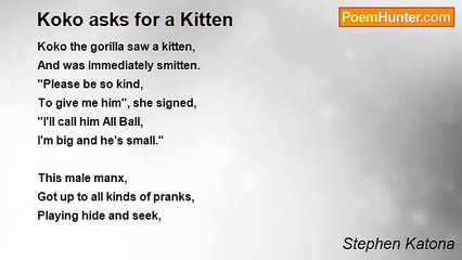 Stephen Katona - Koko asks for a Kitten