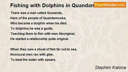 Stephen Katona - Fishing with Dolphins in Quandamooka