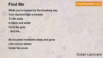 Susan Lacovara - Find Me