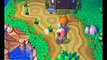 Animal Crossing online multiplayer - ngc