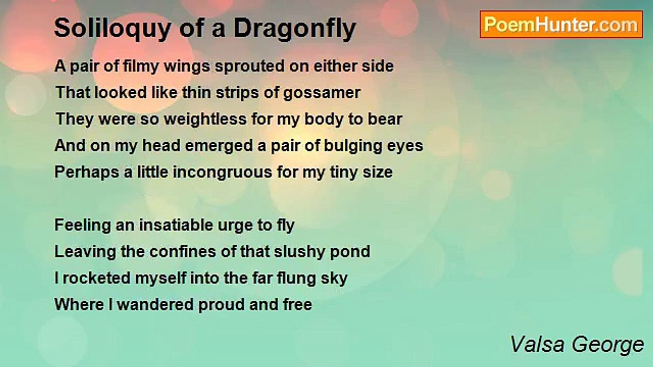 Valsa George - Soliloquy of a Dragonfly