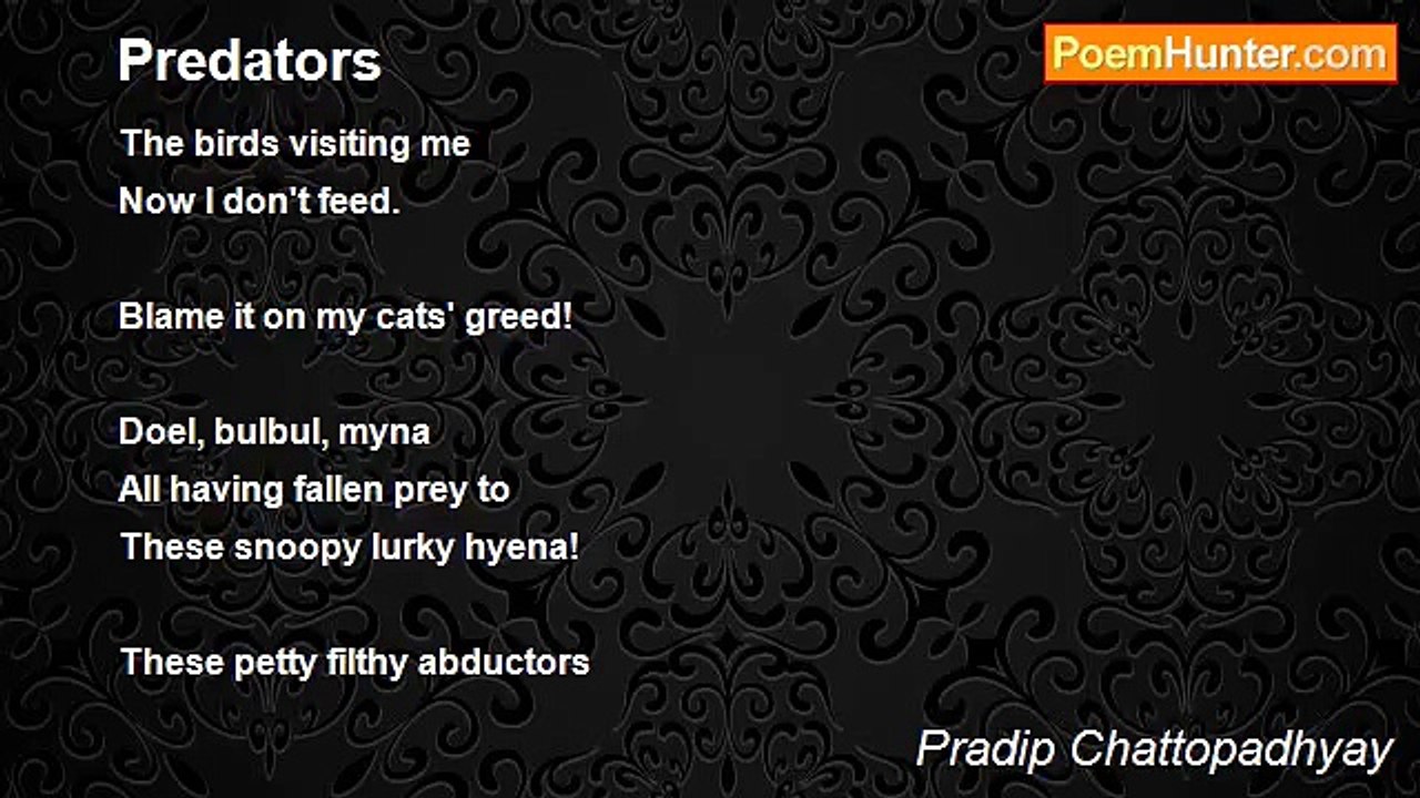 Pradip Chattopadhyay - Predators