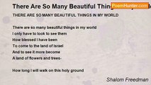 Shalom Freedman - There Are So Many Beautiful Things In My World