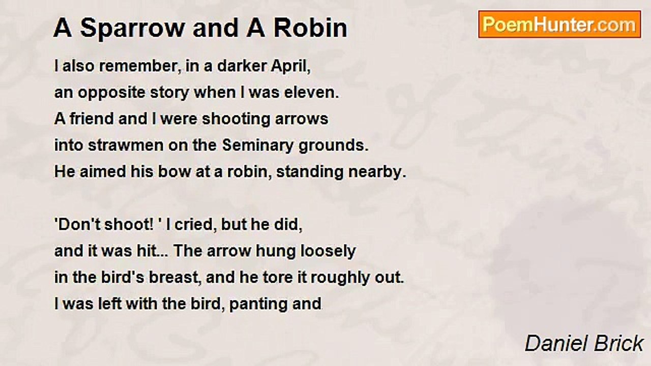 Daniel Brick - A Sparrow and A Robin