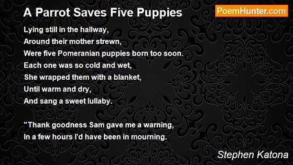 Stephen Katona - A Parrot Saves Five Puppies