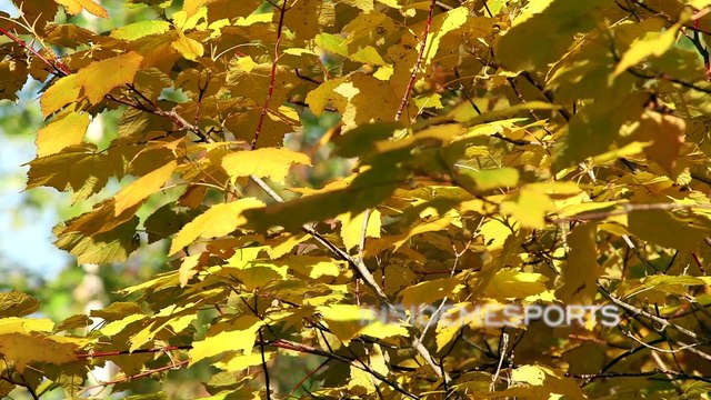 Bikers on the Road - Veloroute du Fjord du Saguenay - 2014