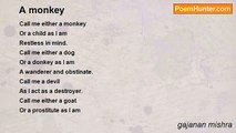 gajanan mishra - A monkey