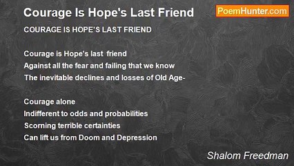 Shalom Freedman - Courage Is Hope's Last Friend