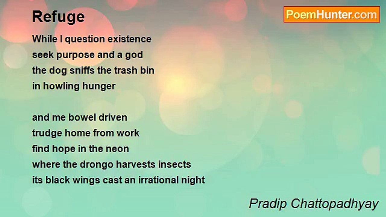 Pradip Chattopadhyay - Refuge