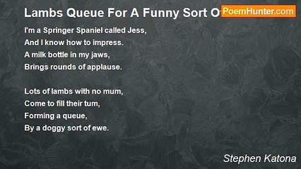 Stephen Katona - Lambs Queue For A Funny Sort Of Ewe
