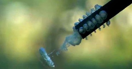 Underwater Paintball Shot 25,000fps - 62,000fps - Slow Mo