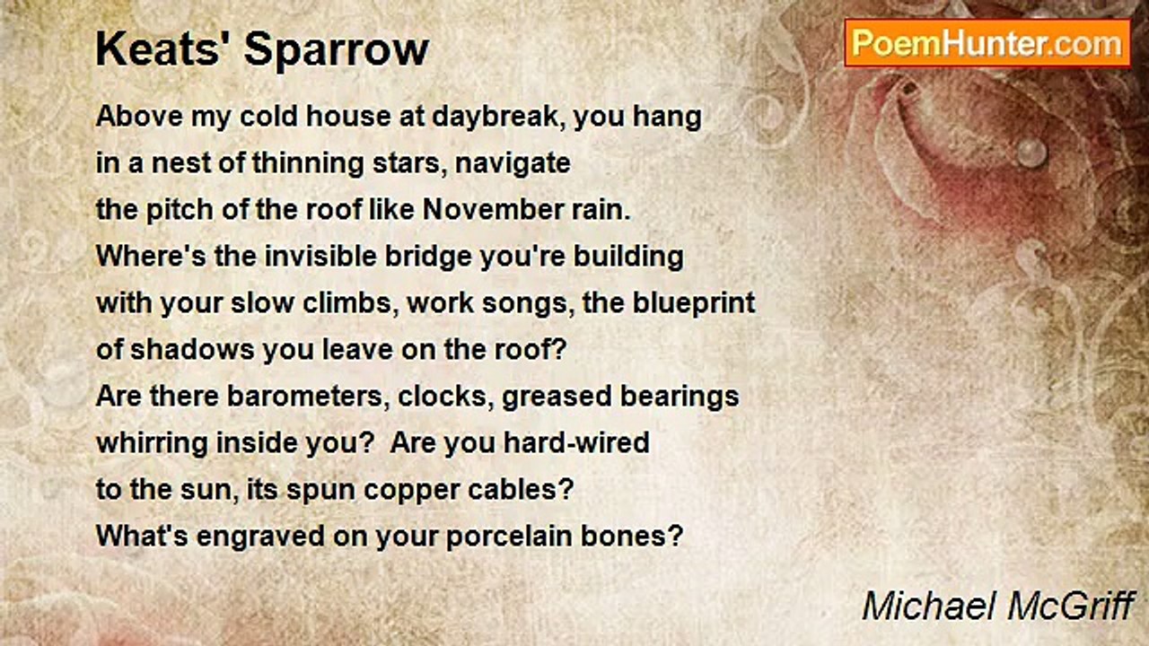 Michael McGriff - Keats' Sparrow