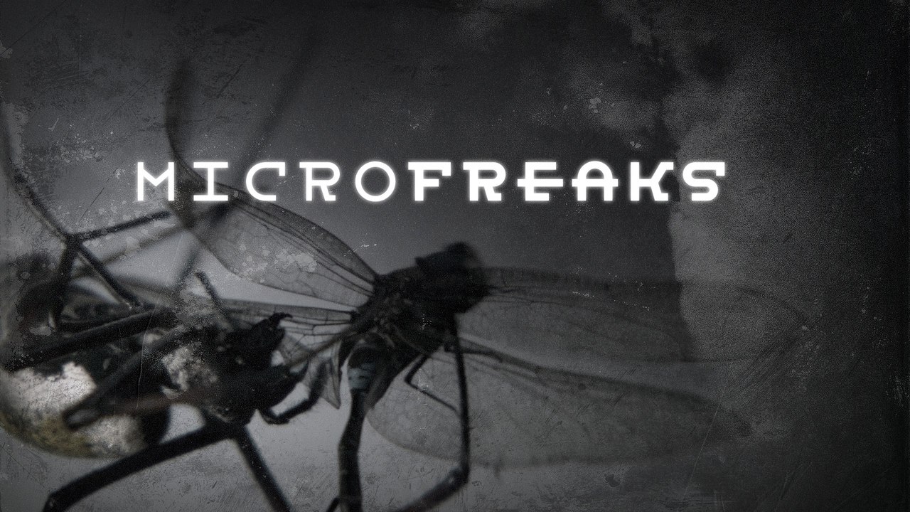 MicroFreaks Trailer
