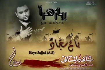 Shahid Baltistani 2013 - Qafla Sadaat Ka