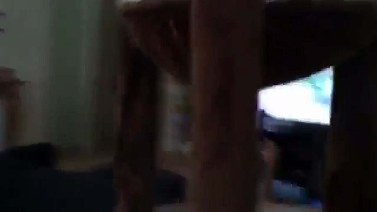 Komando Kedi