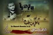 Shahid Baltistani 2013 - Ya Ghareeb Hussaina a.s