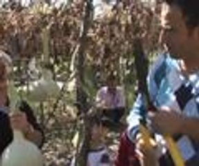 İnşaat işçisinin hayatını değiştiren "su kabağı