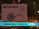 Hungarians take to the streets to protest internet tax