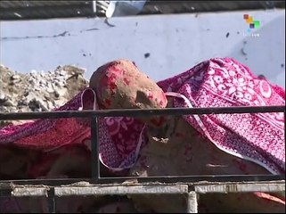 Sculptures illustrate Gaza suffering