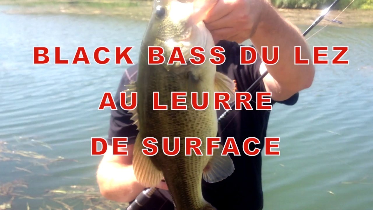 Black bass du lez au leurre USAMI par Europêche34