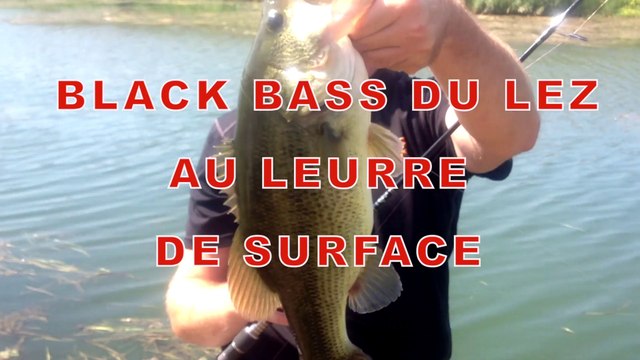 Black bass du lez au leurre USAMI par Europêche34