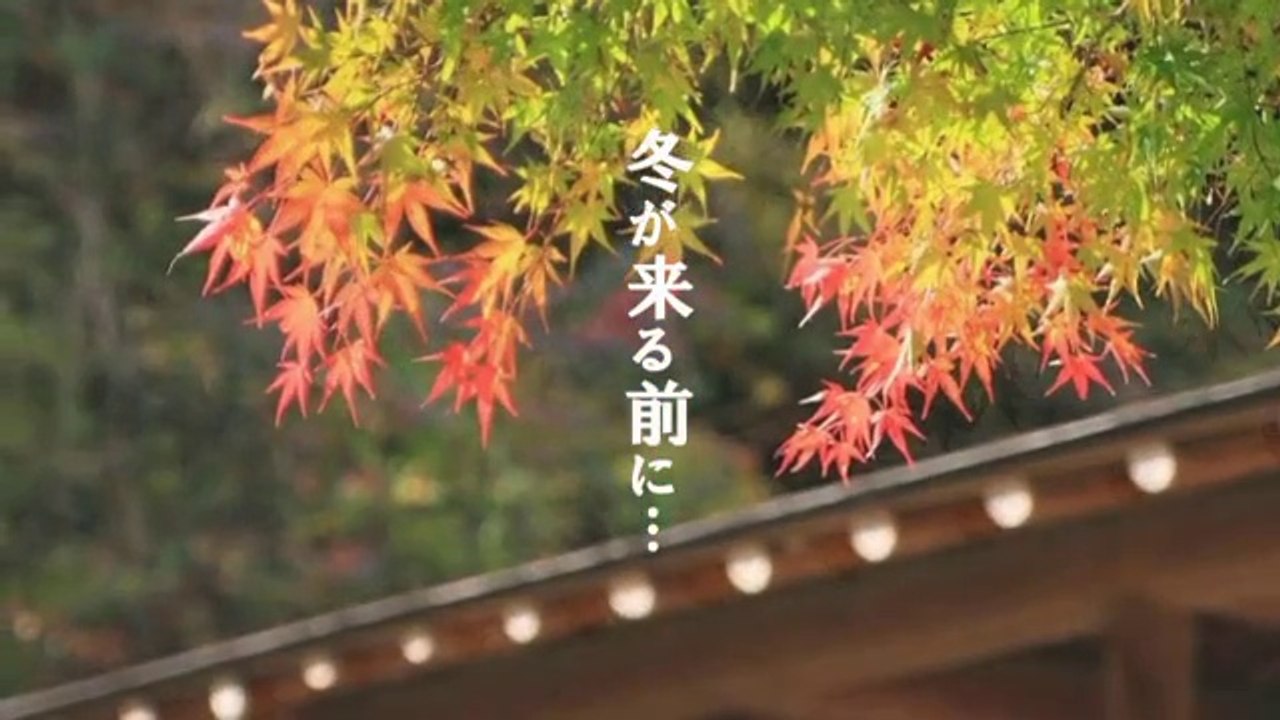 冬が来る前に　／紙ふうせん
